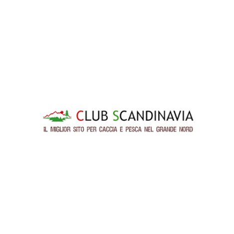 Fianensi's allevamento amatoriale del setter inglese cani da caccia
