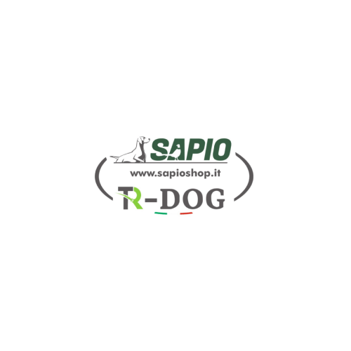 Fianensi's allevamento amatoriale del setter inglese cani da caccia